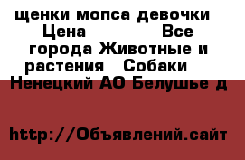 щенки мопса девочки › Цена ­ 25 000 - Все города Животные и растения » Собаки   . Ненецкий АО,Белушье д.
